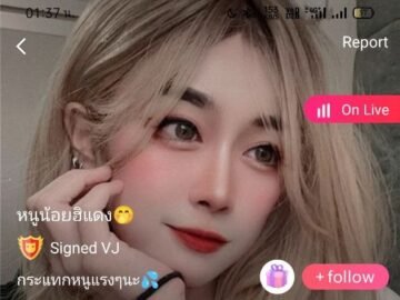 Waanjai IDX 84670731